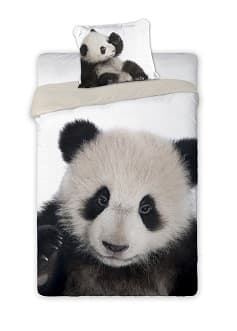 PANDA Pussilakanasetti