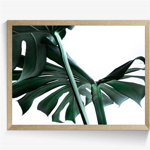 Get Udendors tropiske indretning HD Udendors Tropiske Indretning