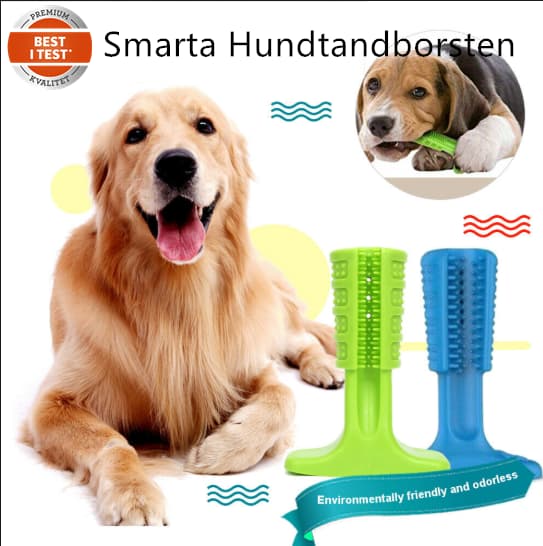 Doggy stick - den smarte tandbørste til hunde