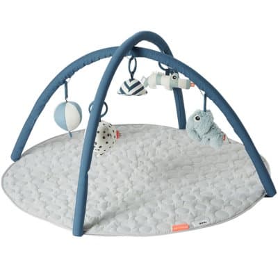 Babygym Blue