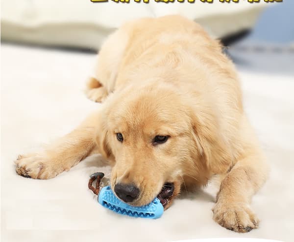 Doggy stick - den smarte tandbørste til hunde - Doggy Brush
