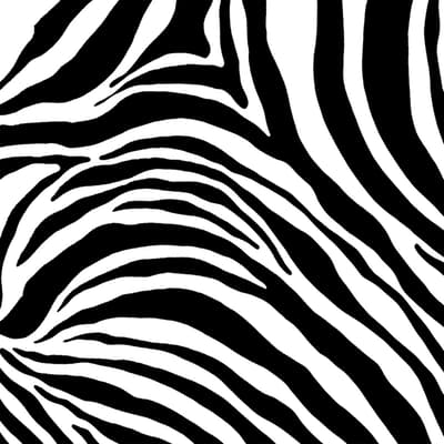 Dekorplast (45x200 cm) - Zebramönster