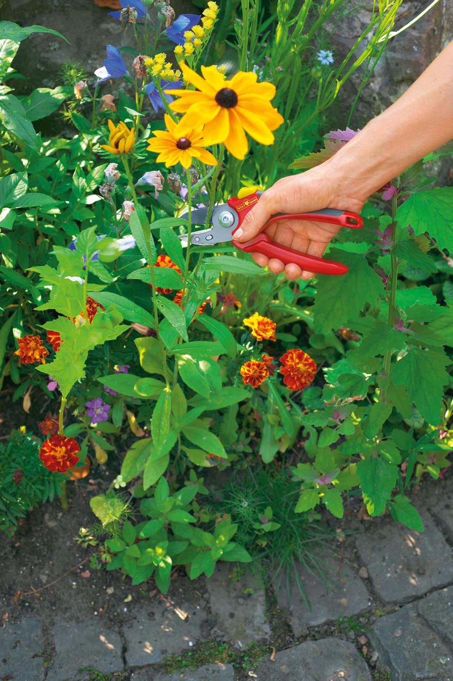 Puutarhasakset Wolf Garten Rs 2500 Cdon