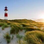W+G Tapet Idealdecor Murals Lighthouse W+G Tapet Idealdecor Idealdecor Idealdecor Murals Lighthouse 2d326b