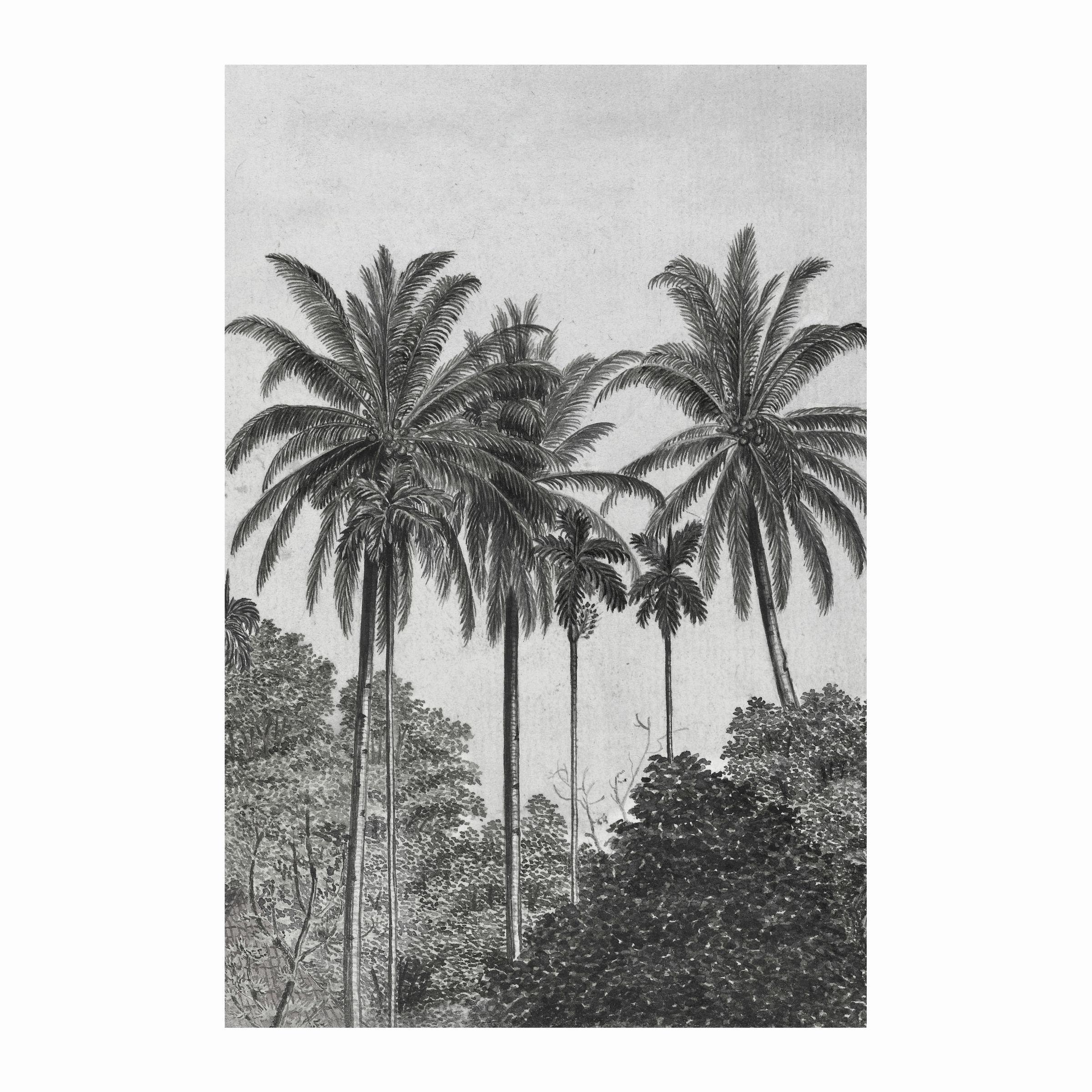 Art for the Home - Fototapet Non-woven - Palm Deco - Grå/Sort - 300x200 cm