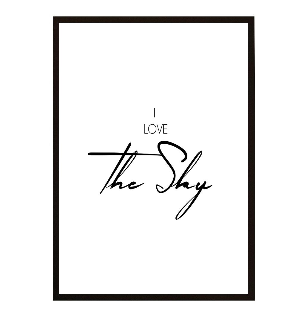 I LOVE THE SKY POSTER