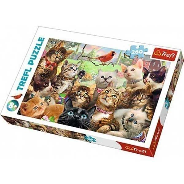 Trefl Pussel - Kattungar 260 Bitars