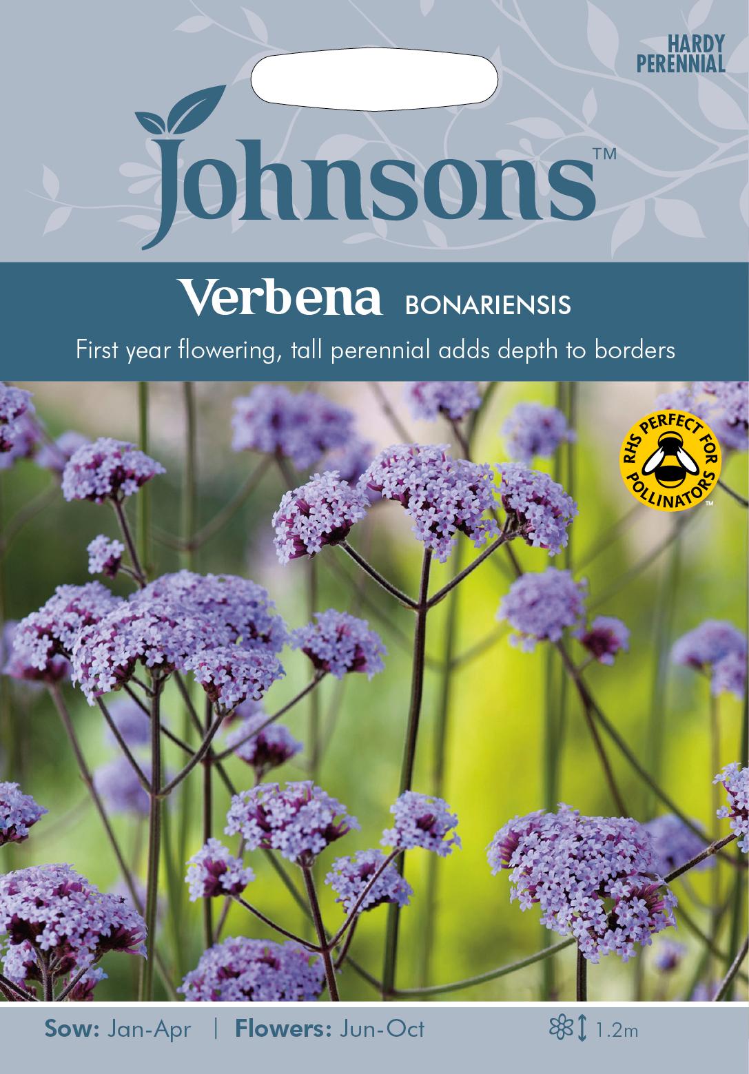 Jätteverbena