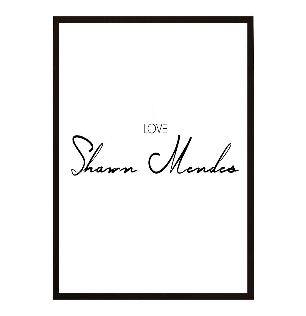 I LOVE SHAWN MENDES POSTER