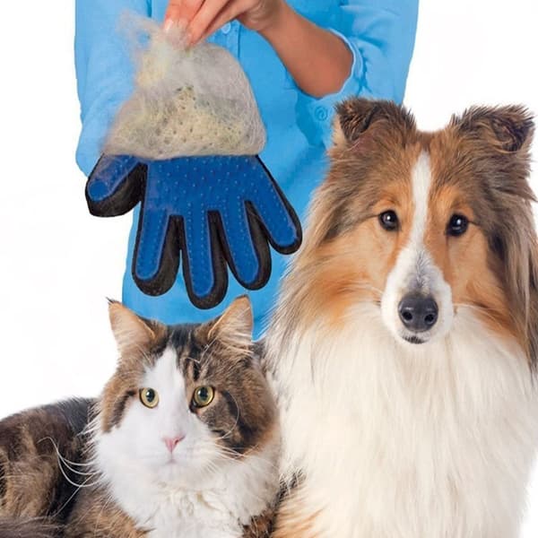 TrueTouch - Brush käsine - Dog - Kissa Oikealla (sininen)