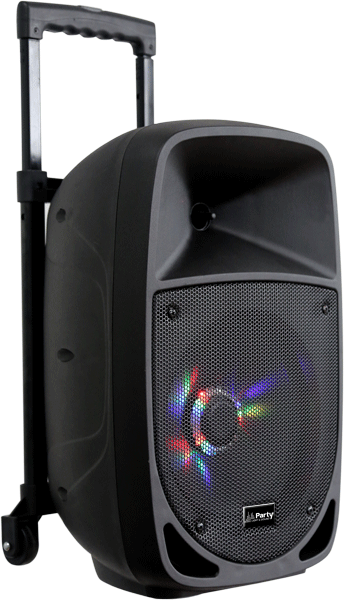 Transportabel 8" Højttaler 300 Watt med USB, Bluetooth og mikrofon