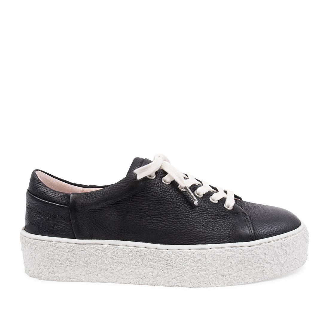 Sneaky Steve Sly Sneaker, Dam
