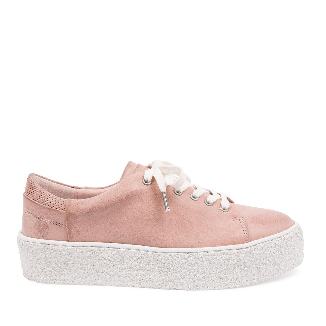 Sneaky Steve Sly Sneaker, Dam