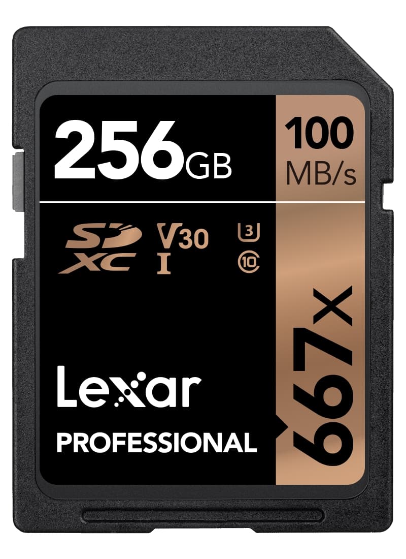 LEXAR PRO 667X SDXC UHS-I U3 (V30) R100/W90 256GB