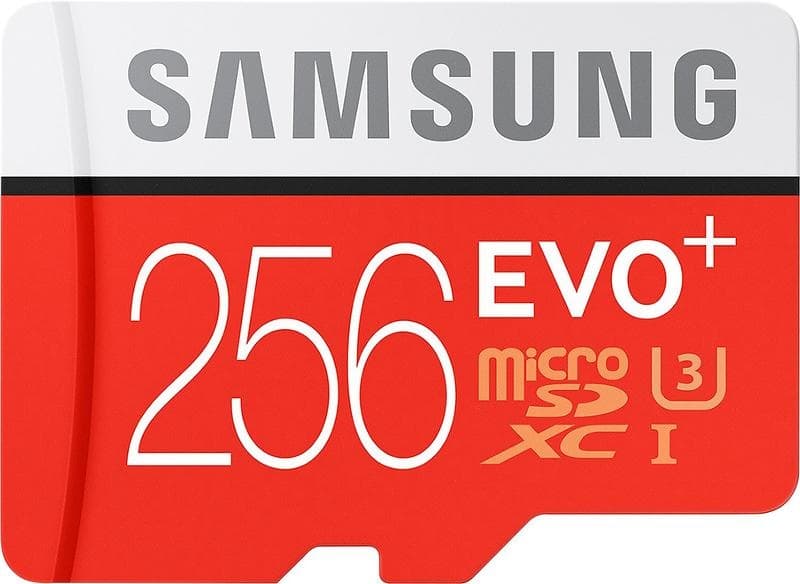 Samsung MicroSD EVO Plus 256GB Class 10, R100/W90