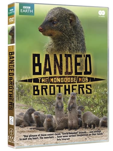 Banded Brothers - (BBC Earth)(2disc)
