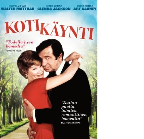 Kotikäynti