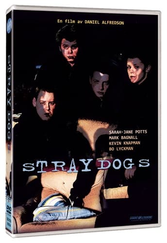 Straydogs