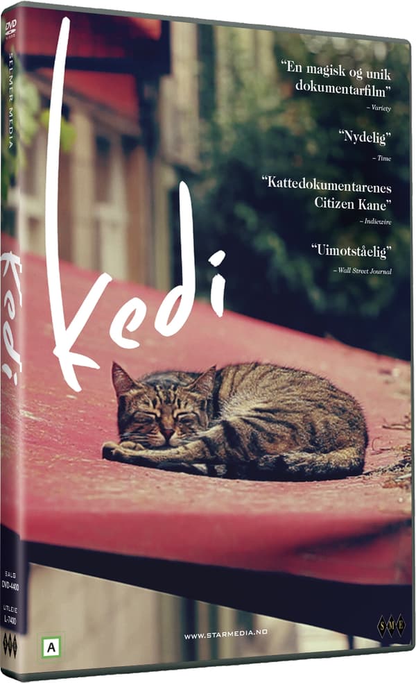 Kedi