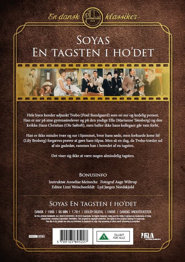 En tagsten i hovedet