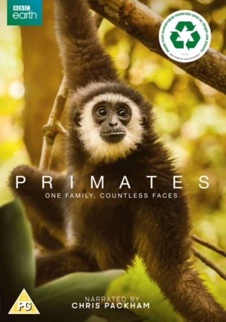 Primates (Import)