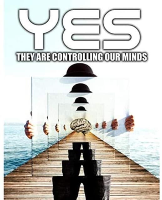 Yes, They Are Controlling Our Minds (Import)