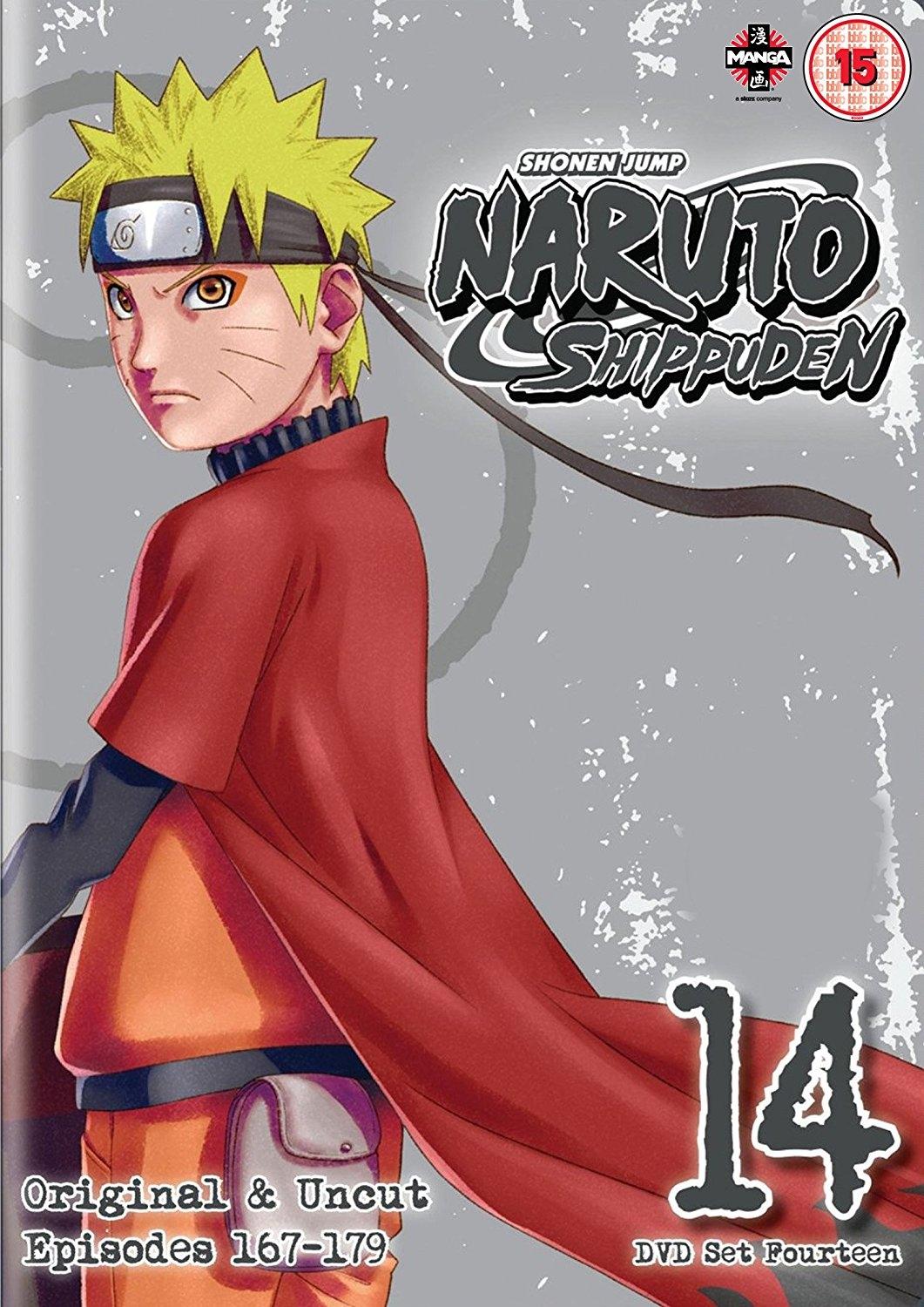 Naruto - Shippuden: Collection - Volume 14 (Import)