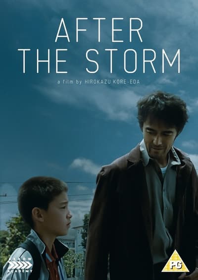 After the Storm (Import)