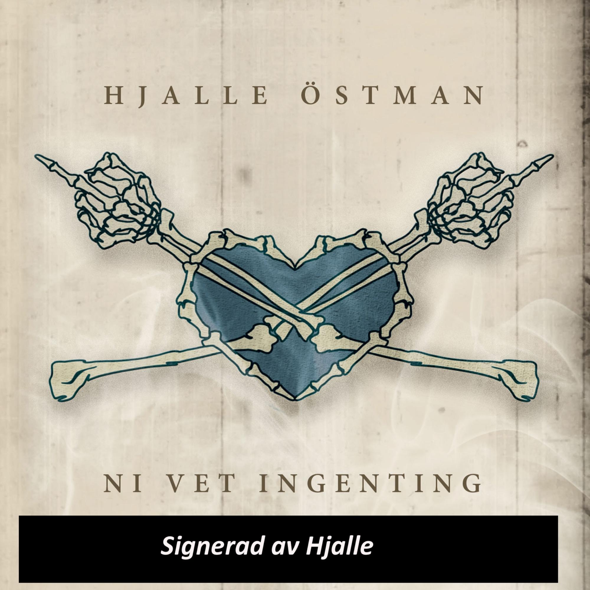 Ni Vet Ingenting