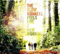 Feels Like A New Morning