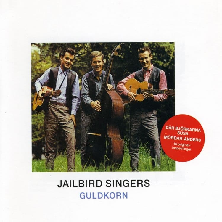 Jailbird Singers Där Björkarna Susa