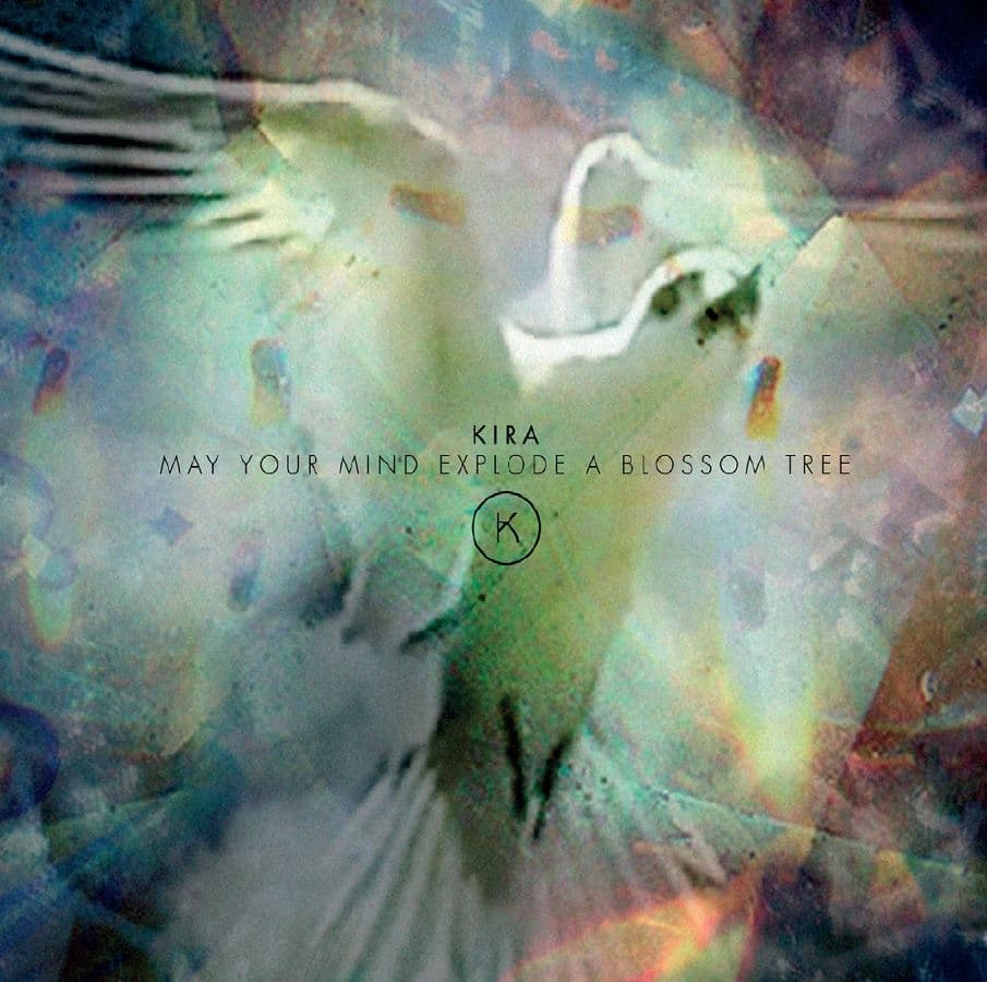 May Your Mind Explode A Blossom Tre