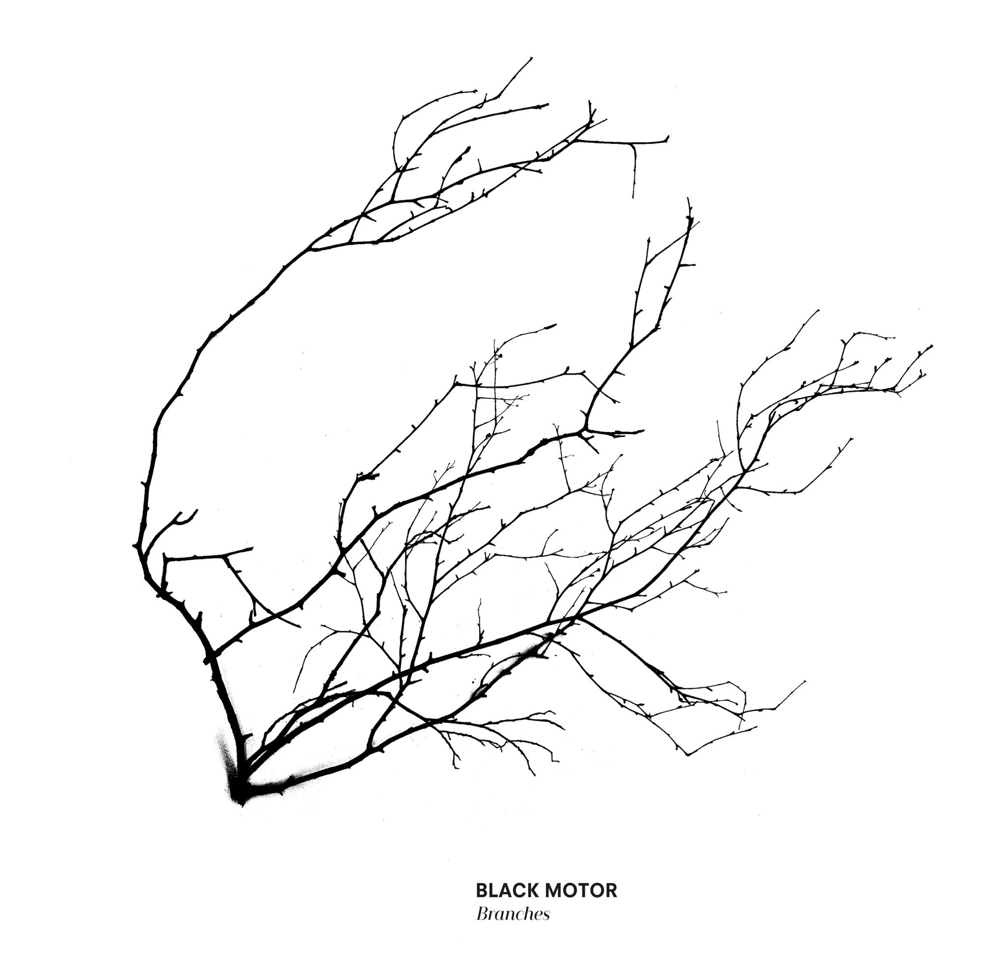 Branches