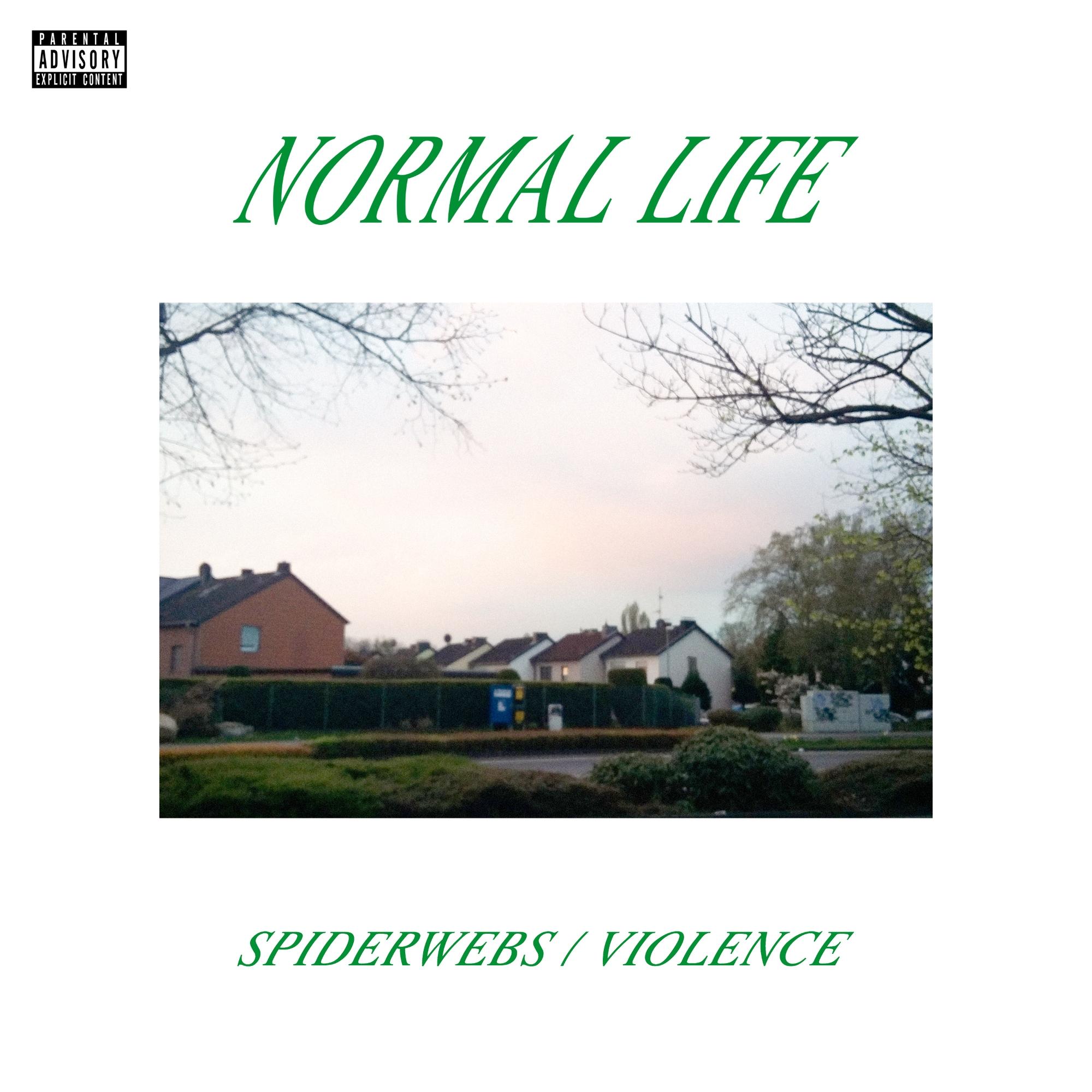 Spiderwebs/Violence