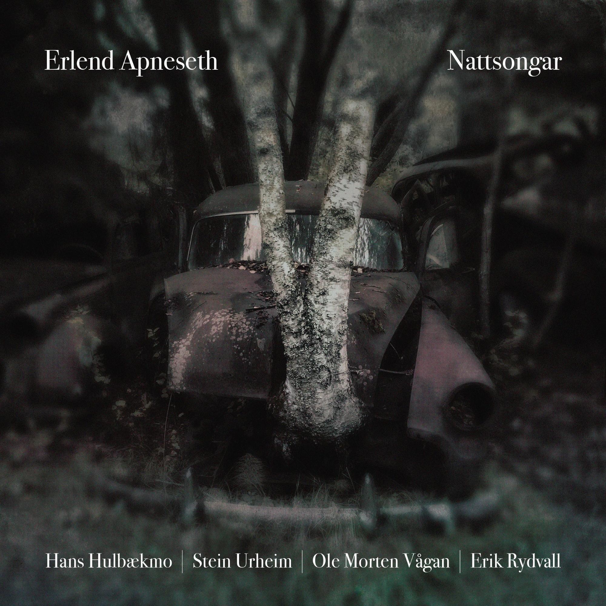 Nattsongar