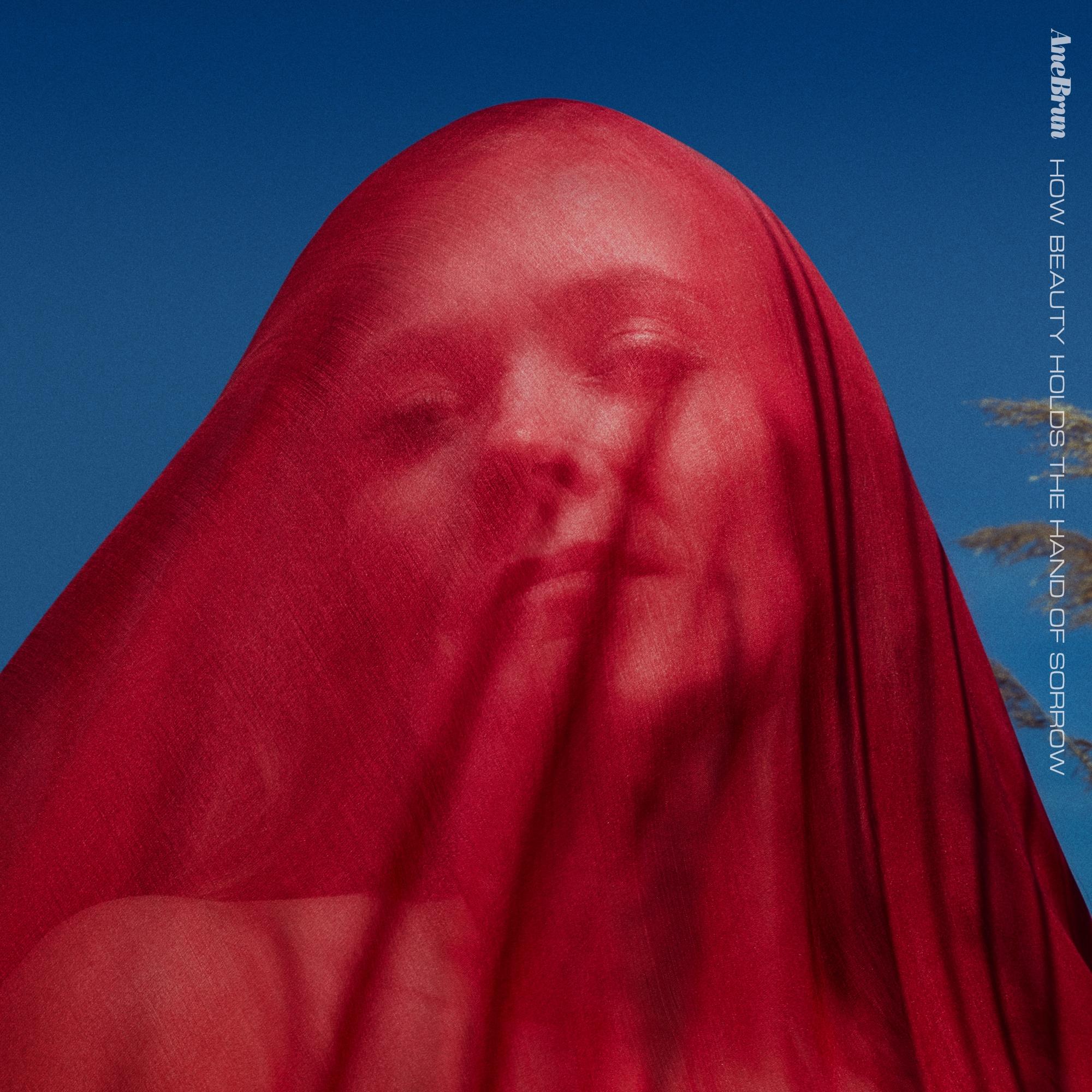 How Beauty Holds The Hand Of Sorrow (Red Vinyl)