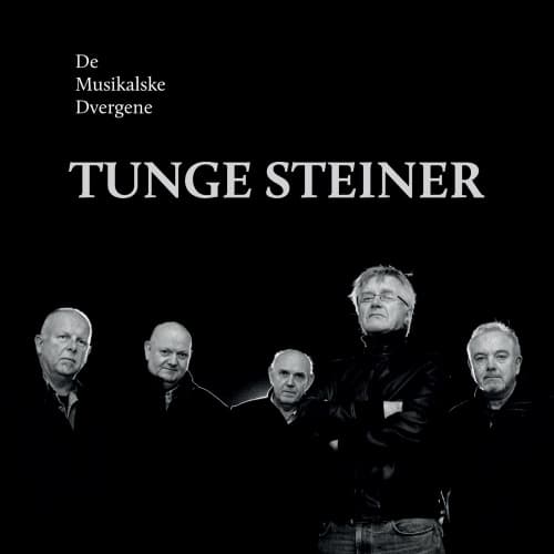 Tunge steiner