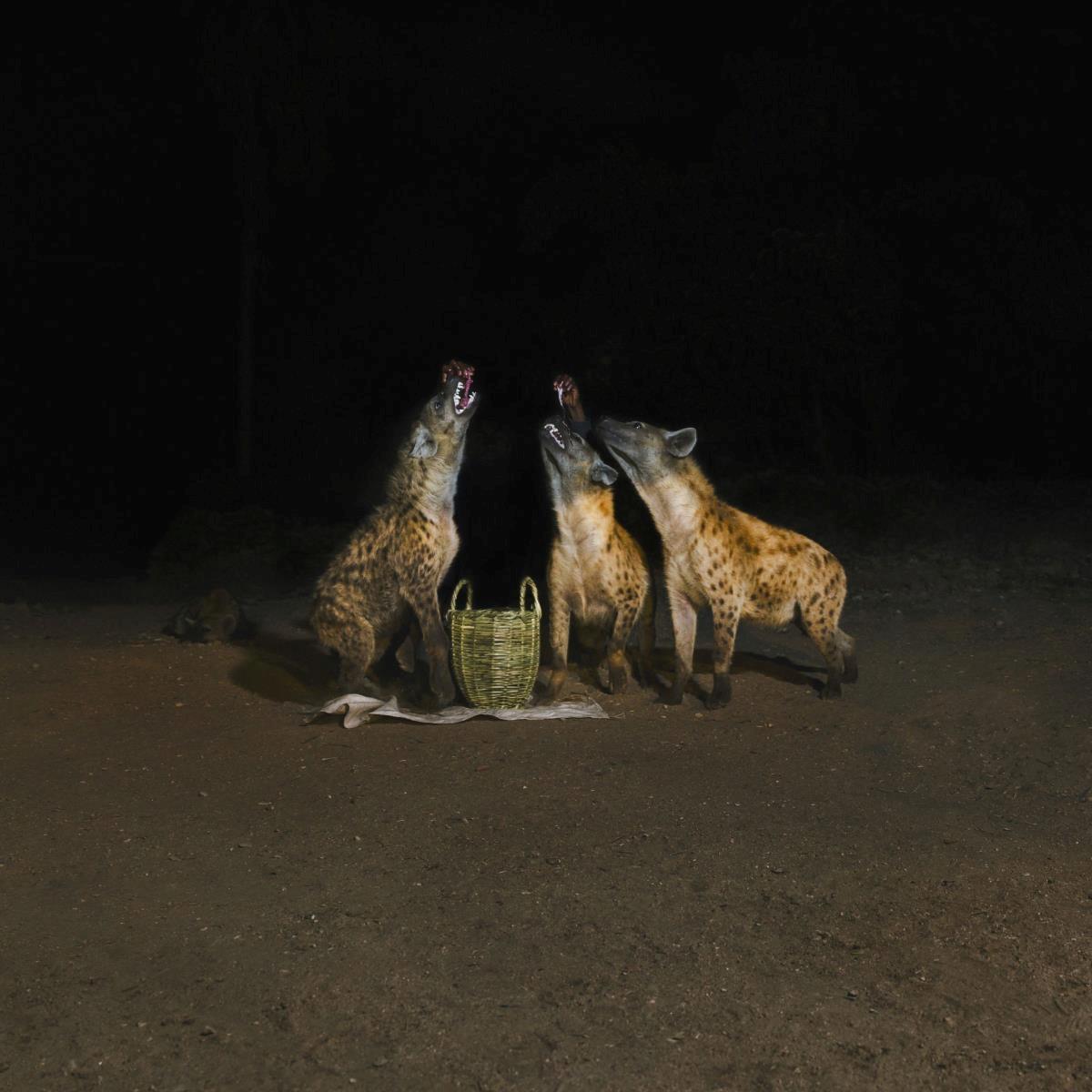 Suicide Disco (2LP)