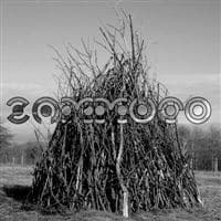 Zammuto
