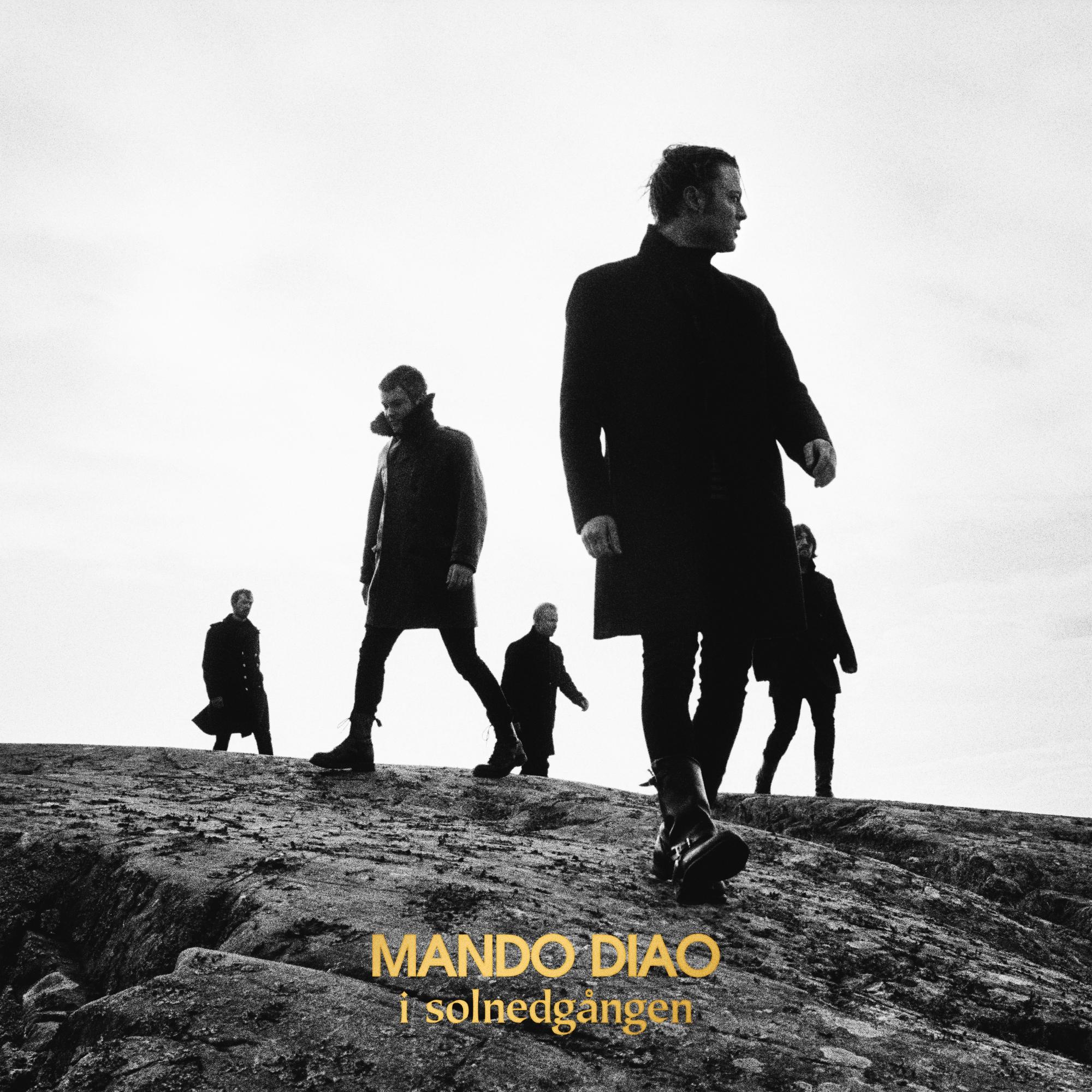 I solnedgången (Limiterad vit vinyl + Poster)