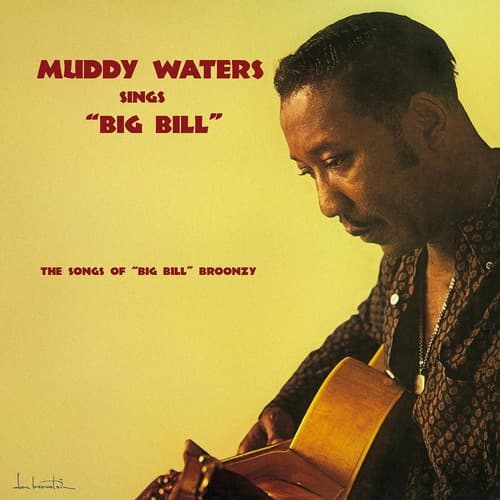 Muddy Waters Sings Big Bill