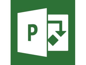 Microsoft Project Professional 2019, 1 lisenser