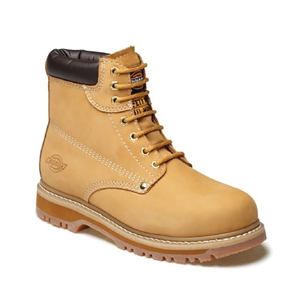 Dickies Unisex Cleveland Super Steel Toe-cap säkerhetsstövel / skor