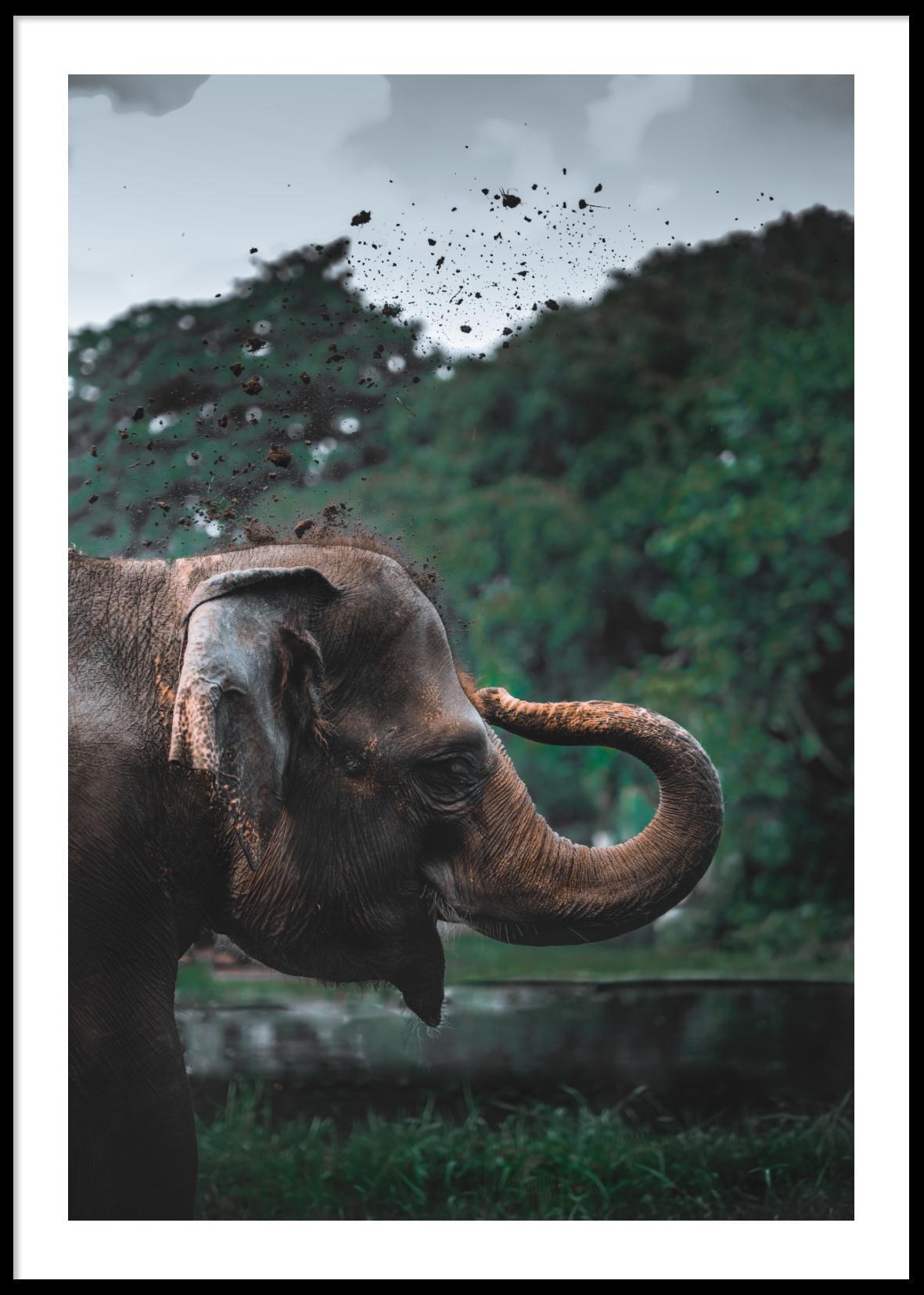 ELEPHANT POSTER 21x30cm