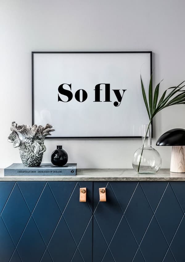 SO FLY POSTER