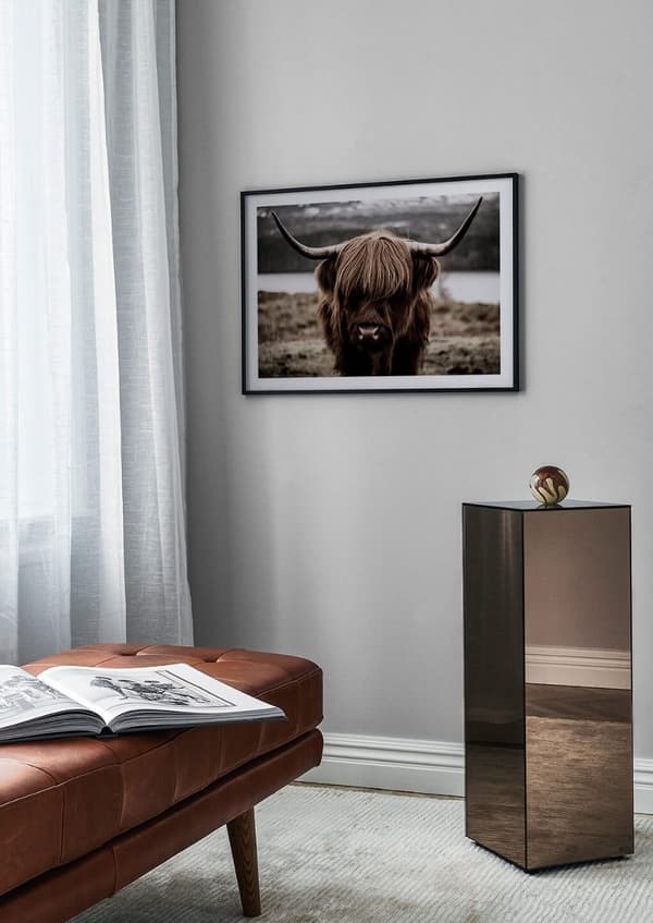 HIGHLAND COW POSTER