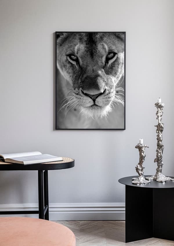 LIONESS POSTER