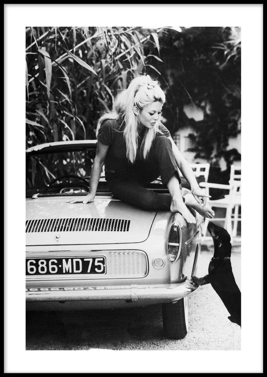 Brigitte Bardot Plakat 50x70cm