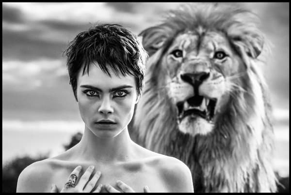 BEAUTY AND THE BEAST - LEJON POSTER 21x30cm
