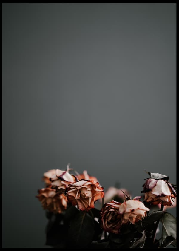 FLOWER WALL IV POSTER 30x40cm